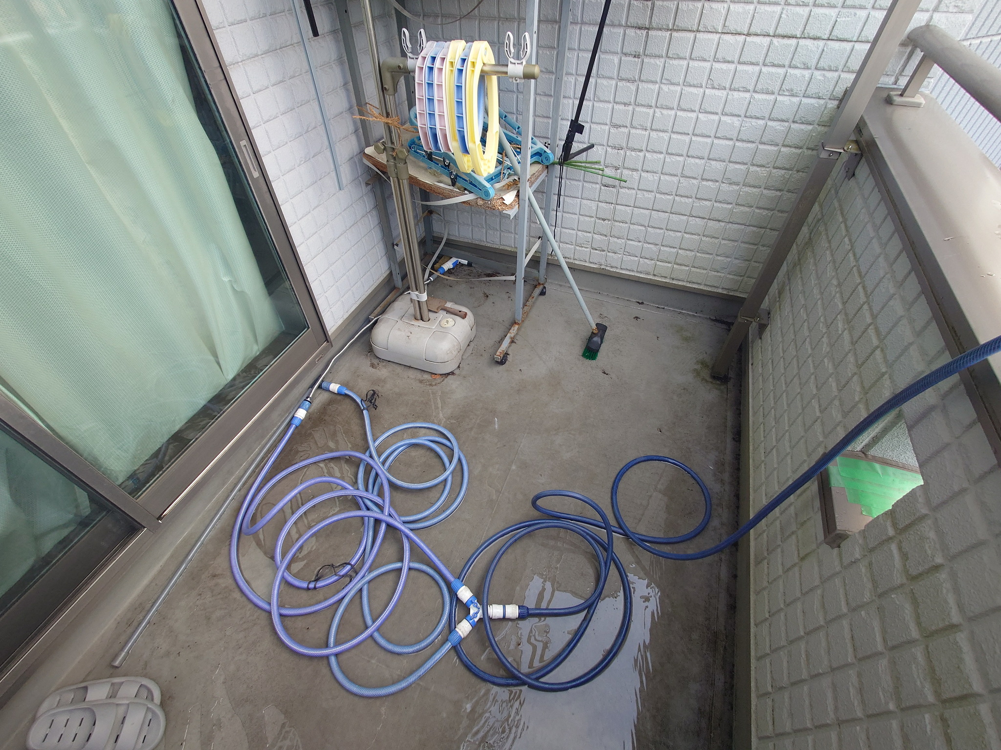 調査①