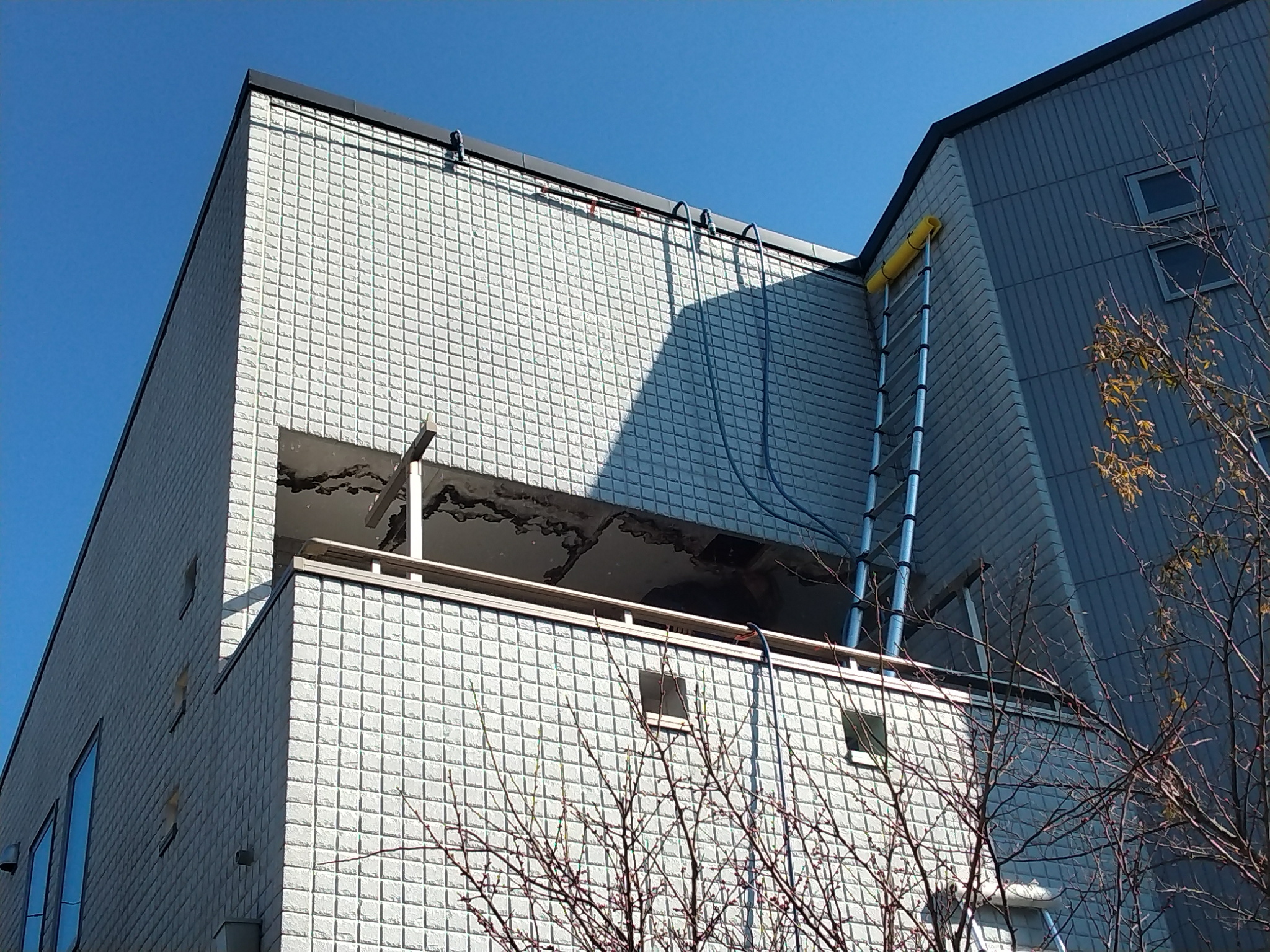 調査⑩