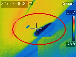 調査②