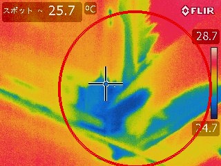 調査⑦